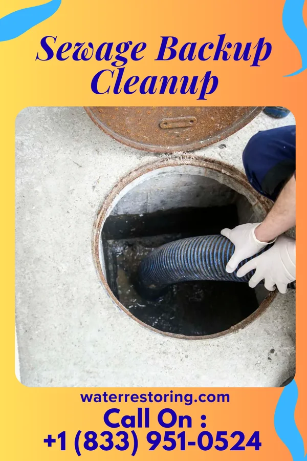 Sewage Backup Cleanup in Rancho Cucamonga, CA